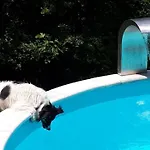 Σπίτι διακοπών Porcaticcio *