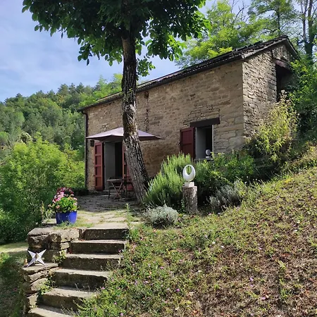 Porcaticcio Casola Valsenio