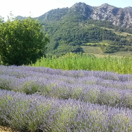 Porcaticcio Tatil Evi