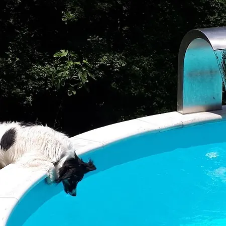 Tatil Evi Porcaticcio *