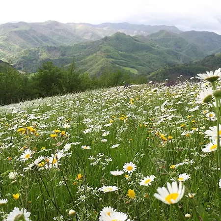 Porcaticcio * Casola Valsenio
