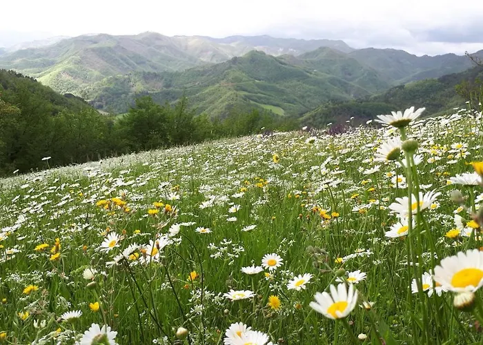 Porcaticcio * Casola Valsenio